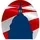 Immigration Accountability Project