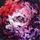 aurelium /ɔˈreːliəm/