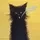 gato fumador