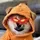 Christopher Hsieh 🧡 $DOG