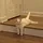 No Context Cats