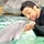 Sammy Obeid