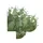 Betaworks