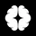 Cerebro
