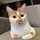 ALPHACAT