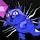 Sizecat