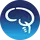 BarrowNeurological