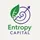 Entropy Capital