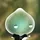Pipper