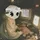 tigintern (𝔦, 𝔦)