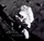 Andy Saunders - Apollo Remastered
