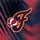Indiana Fever