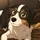 Collie