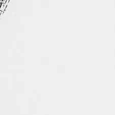 header