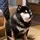 Totakeke