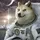 比特币to the moon