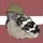 Latvija Bird 🇱🇻