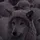 sheeper