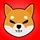 Shiba Sam