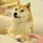 Own The Doge 🐶🖼