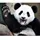 Panda Value