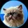 Mr. Miggles