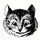 Cheshire Capital