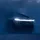 Cybertruck