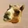 camel very retard & very broke