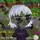 Guthix 🫵