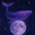 whale on moon ⨀