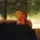 Will Simon