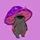 Elton (evm/acc)