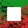 Base UAE