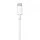 Dongle