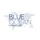 Blue Ocean ATS