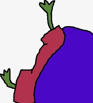feedsImage