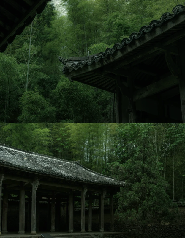 Gallery 2