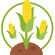 CORN Token logo