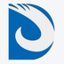 D-Nine logo