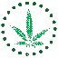 Primo logo