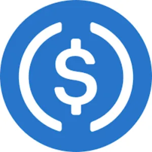 USDC.e token