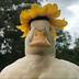 SUNDUCK logo