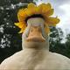 SUNDUCK logo