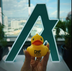 DWF DUCK logo
