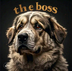 the boss logo