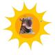 SunPopDeng logo