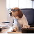 TOPDOG logo