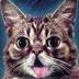 Bub logo