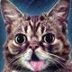 Bub logo